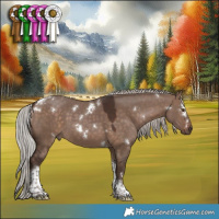 Horse Color:White Spotted Silver Brown Dun Tobiano 