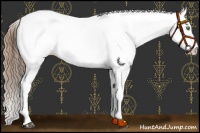 Horse Color:White Spotted Liver Red Dun Pearl Fewspot 