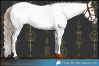 Horse Color:White Spotted Liver Chestnut Pearl Snowflake Varnish