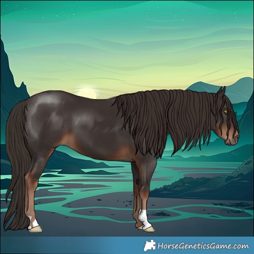 Horse Color:Liver Chestnut