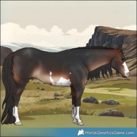 Horse Color:Brown 