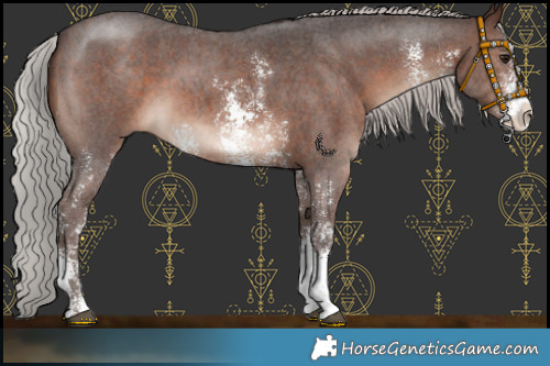 Horse Color:Silver Brown Mushroom Sabino 