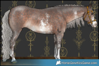 Horse Color:Silver Brown Mushroom Sabino