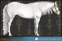 Horse Color:Platinum White Spotted Chocolate Palomino Pearl Sabino 
