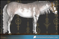 Horse Color:Platinum White Spotted Chocolate Palomino Sabino