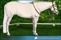Horse Color:Silver Perlino 