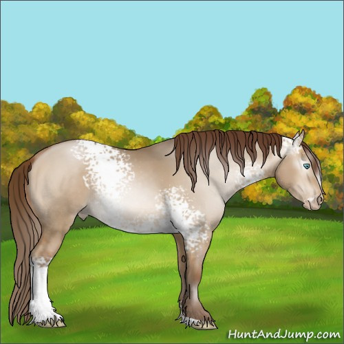 Horse Color:Gray White Spotted Buckskin Pearl Dun Rabicano 