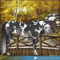 Horse Color:Platinum White Spotted Black Mushroom 