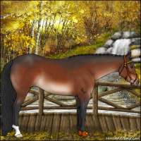 Horse Color:Brown Mushroom 