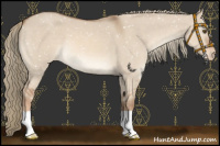 Horse Color:Red Dun Mushroom Appaloosa 