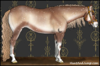 Horse Color:Red Onyx Snowflake Varnish Rabicano 