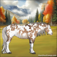 Horse Color:White Spotted Silver Bay Dun Splash Appaloosa Rabicano 