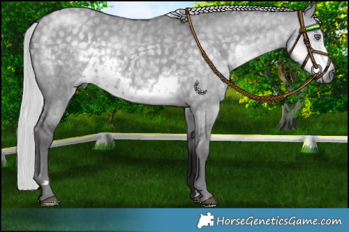 Horse Color:Silver Smoky Grullo Chinchilla 