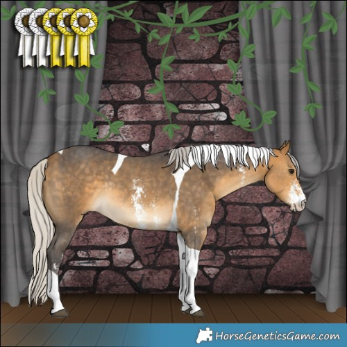 Horse Color:Silver Buckskin Sabino Tobiano Rabicano 