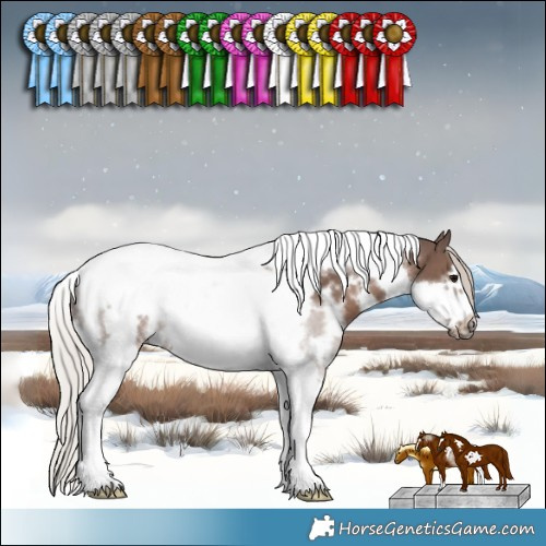 Horse Color:White Spotted Silver Black Tobiano Frame 