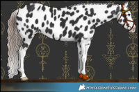 Horse Color:Liver Chestnut Splash Near Leopard 
