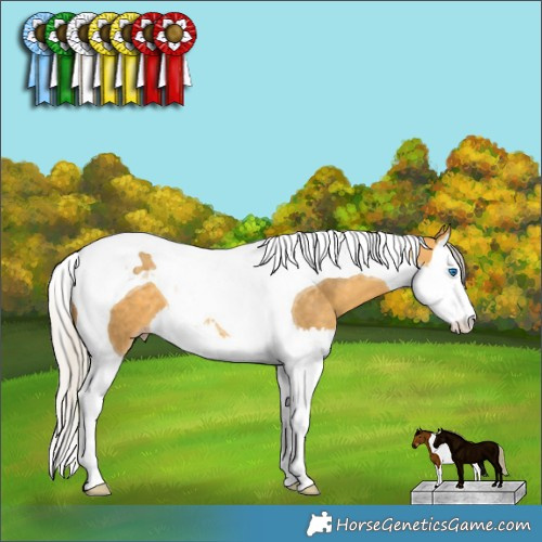 Horse Color:Silver Sable Cream Champagne Splash Tobiano 