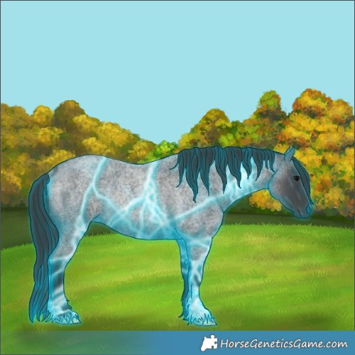 Horse Color:Thunderstruck Blue Roan Rabicano 