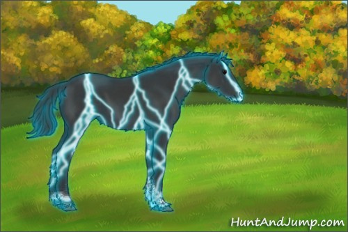 Horse Color:Thunderstruck Black Tobiano Rabicano 