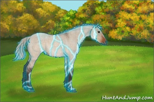 Horse Color:Thunderstruck Silver Brown Roan Dun 