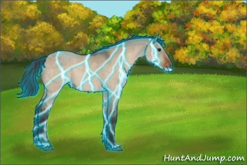 Horse Color:Thunderstruck Brown Roan Dun 