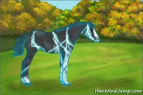 Horse Color:Thunderstruck Black Splash Tobiano Rabicano 