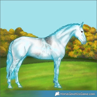 Horse Color:Gray Thunderstruck White Spotted Brown Splash Tobiano Rabicano 
