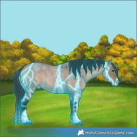 Horse Color:Thunderstruck Brown Roan Dun Splash Tobiano Rabicano