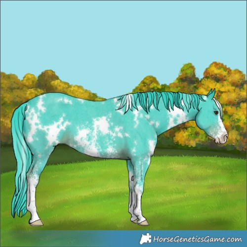 Horse Color:Watercolor White Spotted Liver Chestnut Sabino