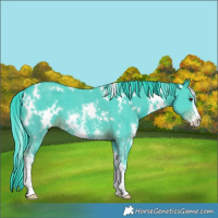 Horse Color:Watercolor White Spotted Liver Chestnut Sabino 