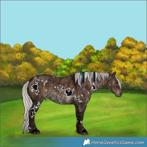 Horse Color:White Spotted Silver Brown Ice Dun 