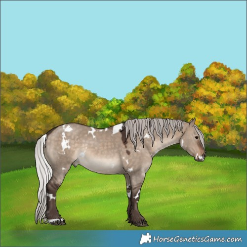 Horse Color:White Spotted Silver Brown Dun 