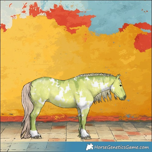 Horse Color:Watercolor White Spotted Silver Grullo 