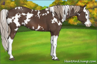 Horse Color:White Spotted Liver Chestnut Splash 