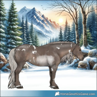 Horse Color:White Spotted Silver Black Rabicano