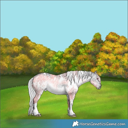 Horse Color:White Spotted Silver Brown Chinchilla Ice 