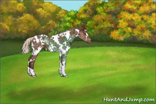 Horse Color:White Spotted Silver Brown Ice 