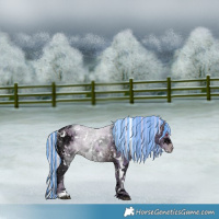 Horse Color:Painted Watercolor White Spotted Silver Brown Chinchilla Ice Pearl 