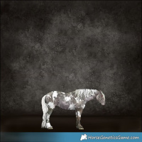 Horse Color:Watercolor White Spotted Chocolate Silver Bay Chinchilla Ice Pearl