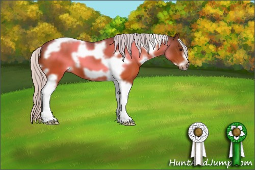 Horse Color:White Spotted Silver Bay Tobiano Frame 