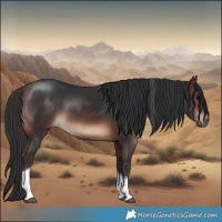 Horse Color:Brown Tobiano 