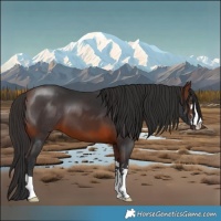 Horse Color:Brown 