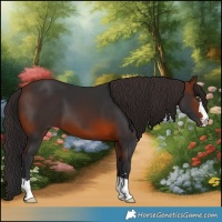 Horse Color:Brown 