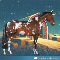 Horse Color:White Spotted Brown 
