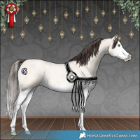 Horse Color:Amber Champagne Roan Dun Splash 