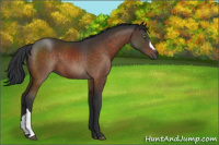 Horse Color:Brown 
