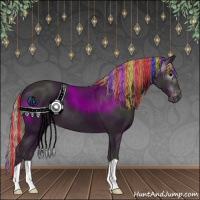 Horse Color:Gray Painted Silver Black Appaloosa 