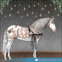 Horse Color:Silver Brown Ice Splash Appaloosa 