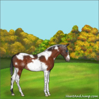 Horse Color:White Spotted Brown Tobiano Frame 