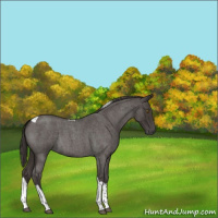 Horse Color:Smoky Blue Roan Tobiano 